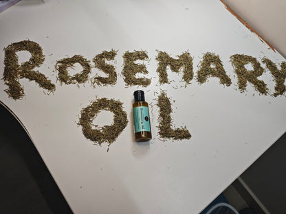 Rosemary Hair Oil (Infused in Coconut Oil)